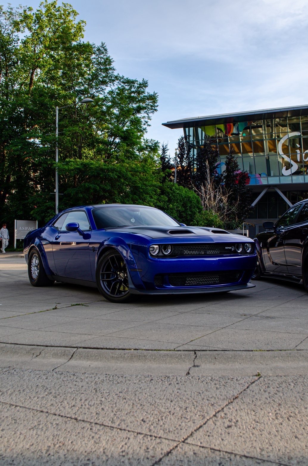 Dodge Challenger SRT Hellcat widebody paint rejuvenation in Vancouver BC