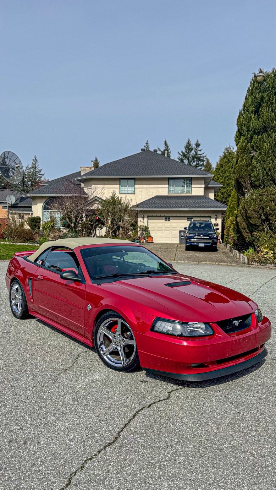 Ford Mustang convertible clear coat polish and soft top protection Vancouver BC