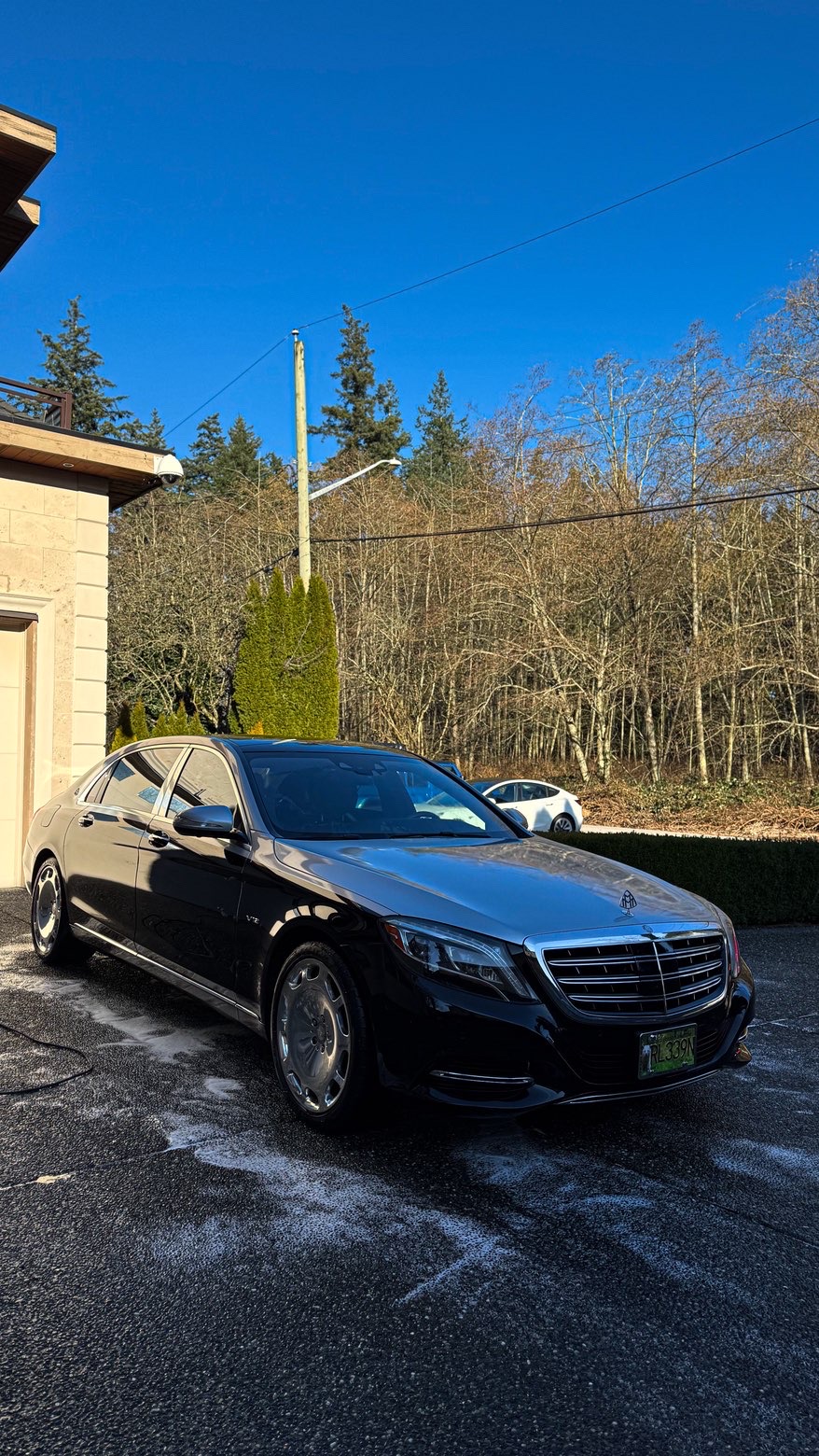 Mercedes-Maybach S-Class luxury interior and exterior auto detail in Vancouver BC